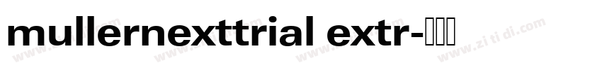 mullernexttrial extr字体转换